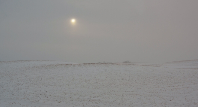 eerie snowy dazzling landscape Saskatoon, Saskatchewan Canada