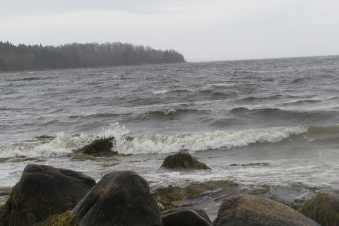Blustery Day Indeed! Chester, Nova Scotia Canada