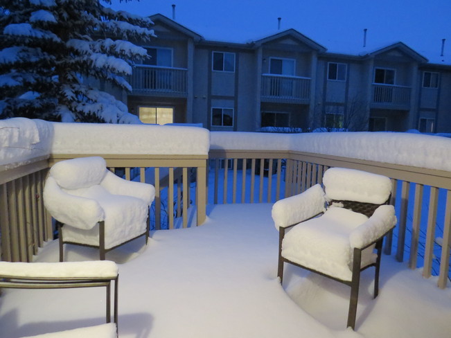 my back deck covered in snow Edmonton, Alberta Canada