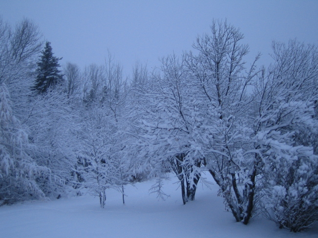 Snow Fall Dryden, Ontario Canada