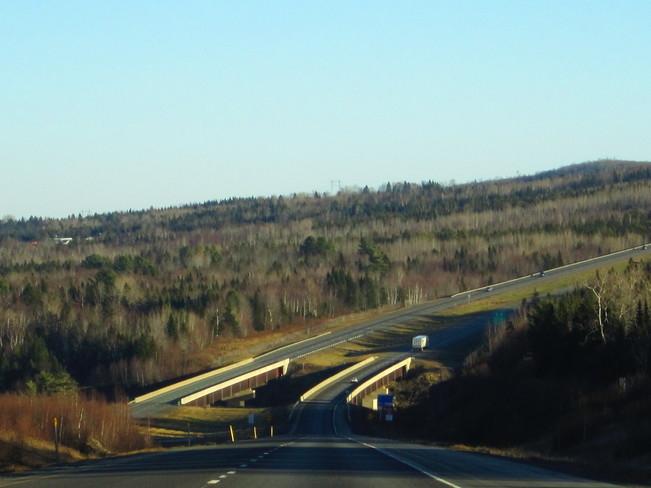 landscape Nackawic, New Brunswick Canada