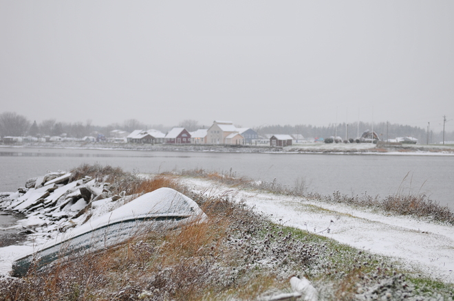 Love the first snow. Shediac, New Brunswick Canada