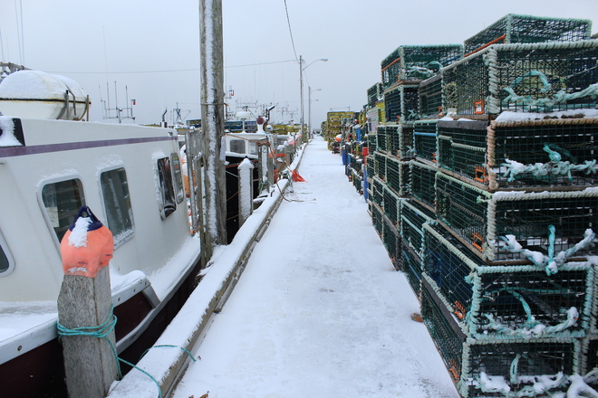 shag harbour wharf scenes before the lobster season opens Yarmouth, Nova Scotia Canada