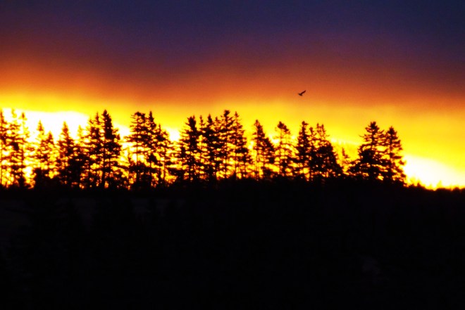 morning weather Sea View, Prince Edward Island Canada