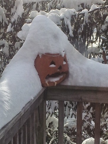 Pumkin grimaces in snow London, Ontario Canada