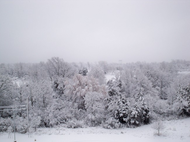 Winter wonderland Kingston, Ontario Canada
