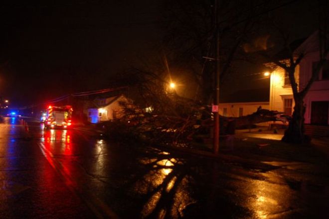 Tree falls on Power Line Yarmouth, Nova Scotia Canada