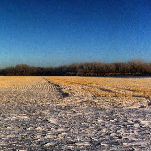 Calm winters day Sylvania, Saskatchewan Canada