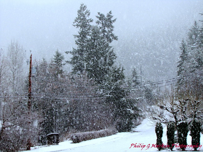 Beautiful Snowfall Nelson, British Columbia Canada