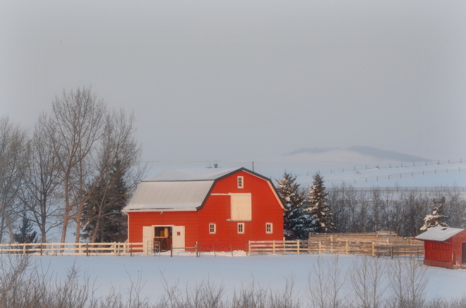 cold and frosty morning Okotoks, Alberta Canada