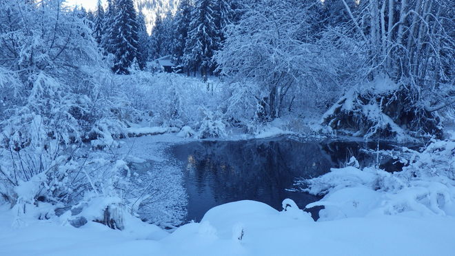 winter pond Salmo, British Columbia Canada