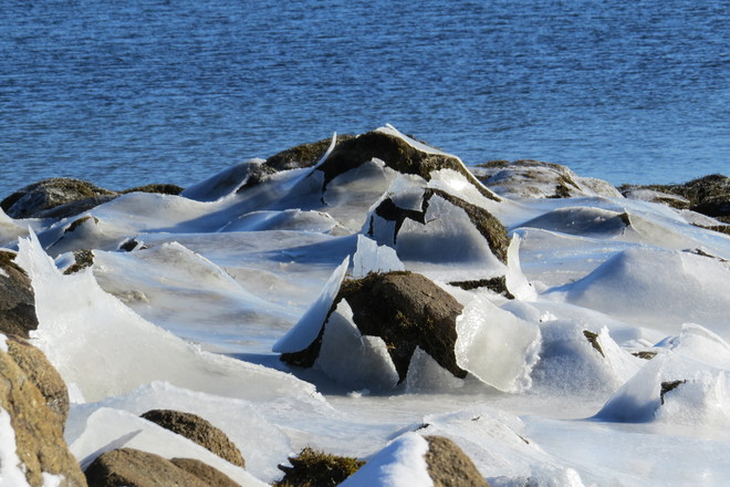 Rocks Peeking Through An Ice Blanket Chester, Nova Scotia Canada