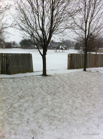 Snow? Tilbury, Ontario Canada