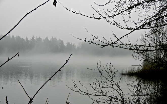 Mist over the lake Victoria, British Columbia Canada