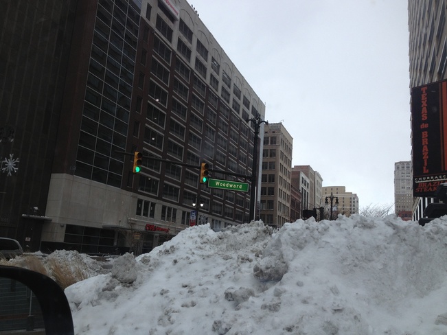 detroit, mi snowfall Detroit, Michigan United States