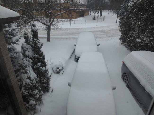 Snowy morning :) North York, Ontario Canada