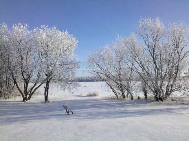 crisp winter's morning Argyle,Manitoba Canada