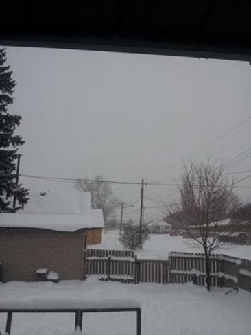 Another snowy morning in the nieghborhood Sault Ste. Marie, Ontario Canada