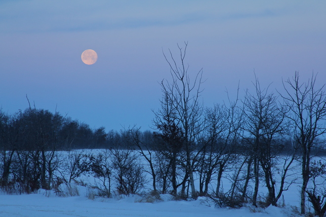 Good Morning Moon Dalmeny, Saskatchewan Canada