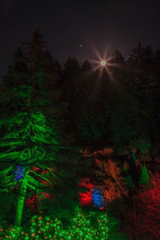 Christmas Lighting Brentwood Bay, British Columbia Canada