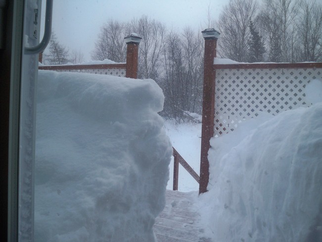 much to much snow Pasadena, Newfoundland and Labrador Canada