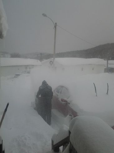 snow storm Corner Brook, Newfoundland and Labrador Canada