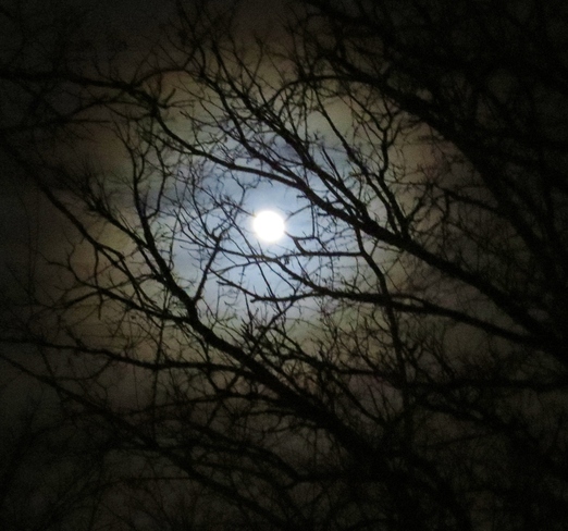 full moon Winnipeg, Manitoba Canada