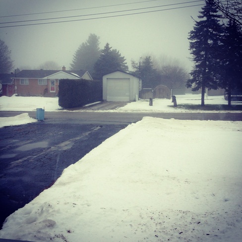 its foggy out >.< Central Elgin, Ontario Canada