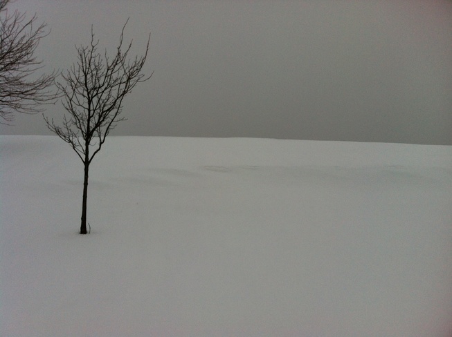 walk in the snow Waterloo, Ontario Canada
