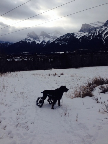 boxing day in the mountains Canmore, Alberta Canada