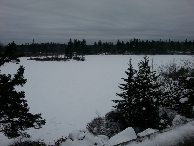 Grey Morning at Hail Pond Halifax, Nova Scotia Canada