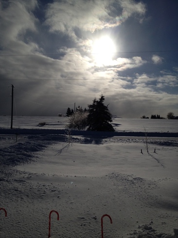 snowy christmas day Southwest Lot 16, Prince Edward Island Canada