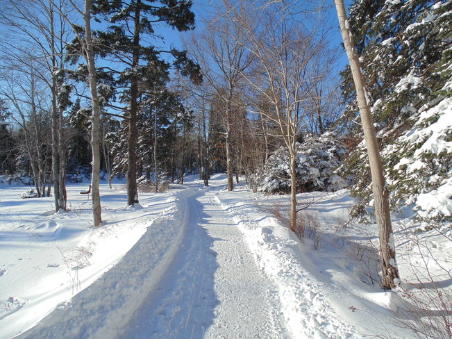 Snowy Trail at Shubie Park Dartmouth, Nova Scotia Canada