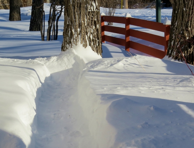 Snow paths Winnipeg, Manitoba Canada