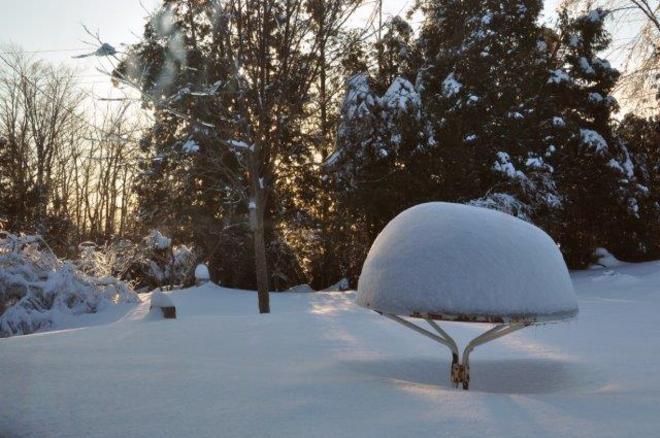 Morning after snow Erin, Ontario Canada