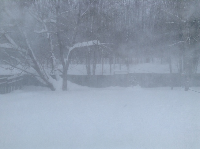 Blizzard Warning Coldwater, Ontario Canada