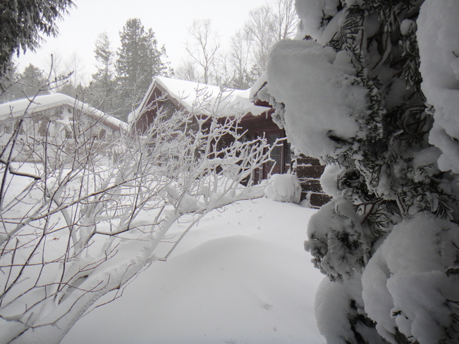 Snowed in! Kincardine, Ontario Canada