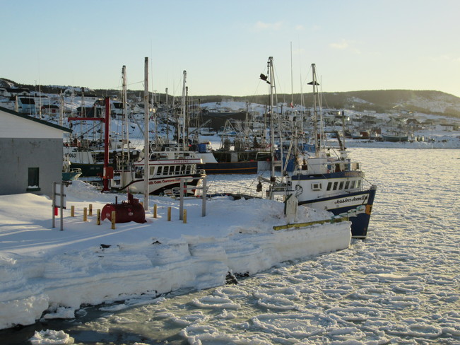 Ice in the Harbour Bonavista, Newfoundland and Labrador Canada