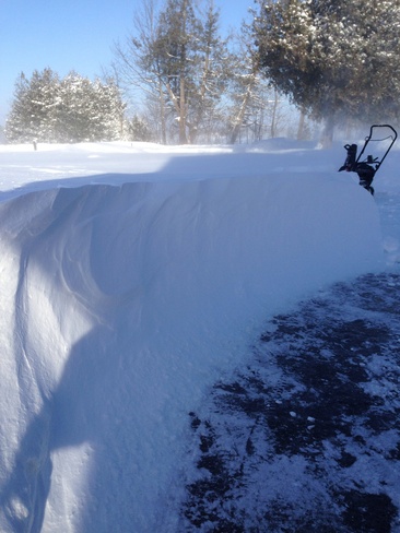 wind making snow drifts 3' deep Woodville, Ontario Canada