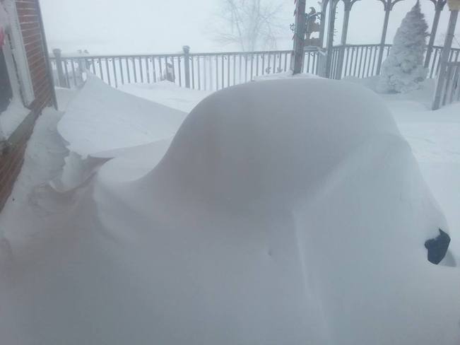 Snowed in Monkton, Ontario Canada
