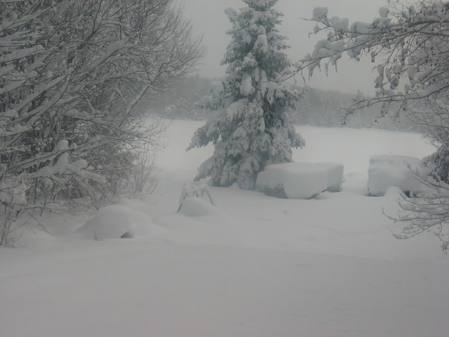 Deep in snow Bracebridge, Ontario Canada