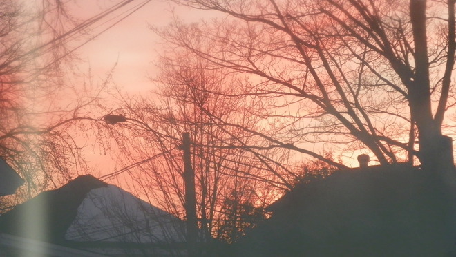 Sunny Morning in January Moncton, New Brunswick Canada