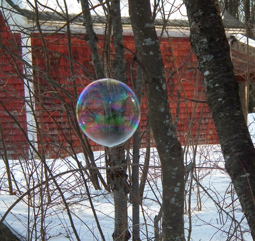 Bubbles on a Winter DaY McAdam, New Brunswick Canada