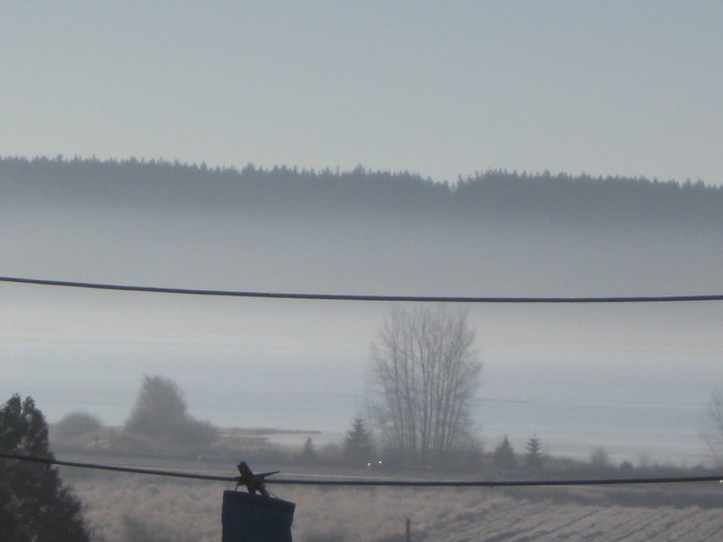 more fog Surrey, British Columbia Canada