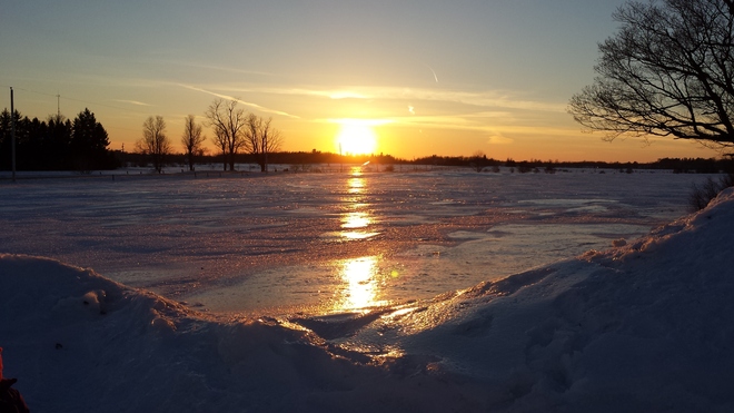 Sunset on Crusted Snow Ottawa, Ontario Canada