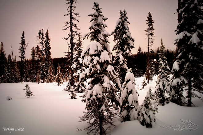 Twilight-Winter Apex Mountain Penticton, British Columbia Canada