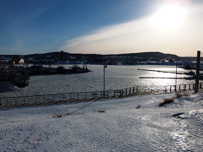 Bonavista Harbour-2014 Bonavista, Newfoundland and Labrador Canada