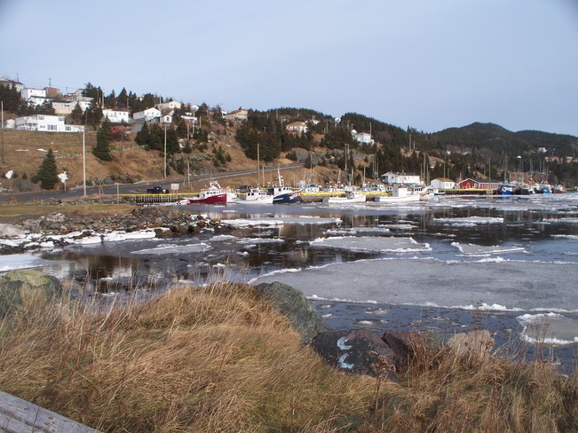 boats Jerseyside , N.L. Placentia, Newfoundland and Labrador Canada