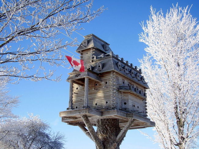 Extreme Birdhouses Belgrave, Ontario Canada