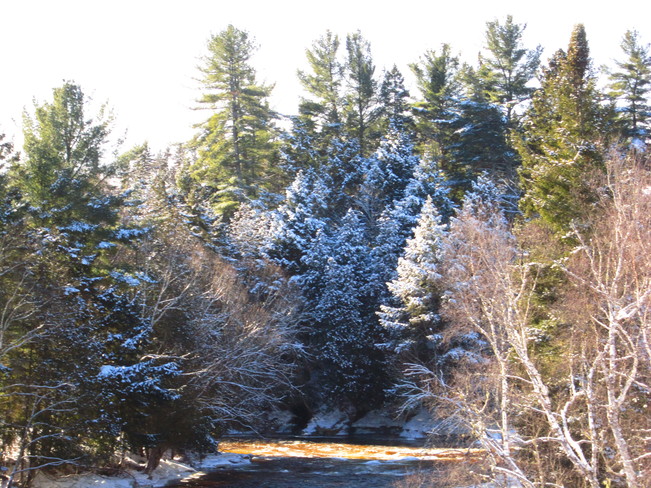 ice covered trees Temperance Vale, New Brunswick Canada